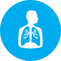 icon of person showing the lungs